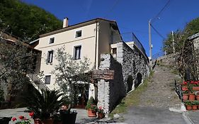 Agriturismo Dai Marchesin